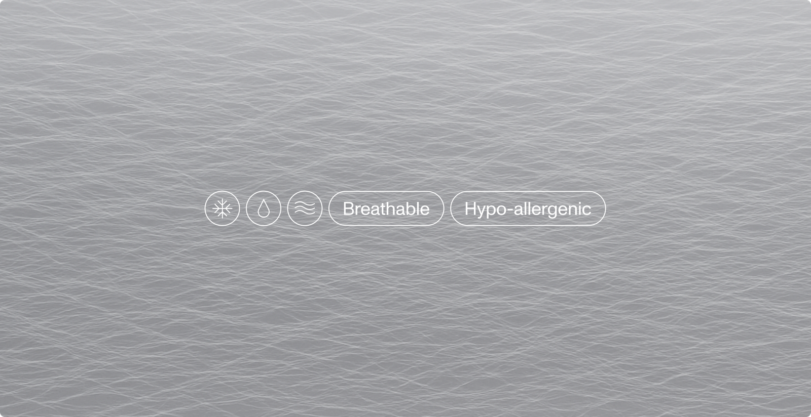 Main feature image